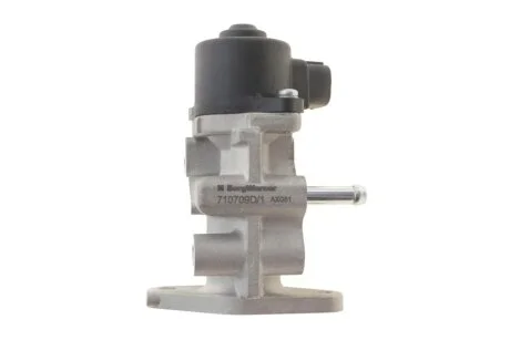 Клапан EGR WAHLER 710709D