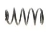 Пружина підвіски SOLGY 212164 (фото 1)
