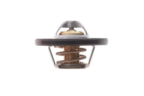 Термостат з ущільнюючим кільцем FEBI BILSTEIN 193096