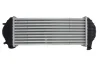 Інтеркулер MERCEDES CITAN MIXTO (DOUBLE CABIN), CITAN (MPV), CITAN/MINIVAN (W415) RENAULT KANGOO EXPRESS, KANGOO II 1.2/1.5D 06.08- MAGNETI MARELLI 351319205510 (фото 2)