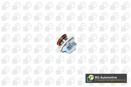 Корок піддону Renault Dokker 1.6i/LPG 13- (M 12x1.25x11) BGA PK6300