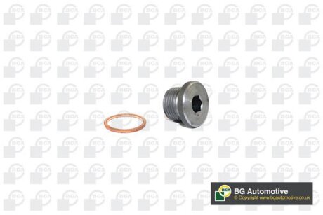 Болт зливу оливи + шайба BMW 3 (E36)/5 (E60/F10/E61)/X5 (E53/E70/G05)/X6 (E71/G06) 3.0-4.4 91- BGA PK0904