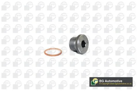 Болт зливу оливи + шайба BMW 3 (E36)/5 (E60/F10/E61)/X5 (E53/E70/G05)/X6 (E71/G06) 3.0-4.4 91- BGA PK0904