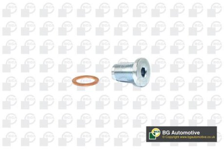 Болт зливу оливи Doblo 1.9 D/JTD 01- BGA PK2201