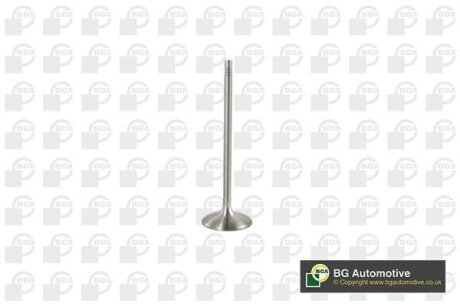 Клапан впуск BMW 3 (E90/F30/F34/E91/F31/E92)/X5 (E70/F15) 2.0-3.0 04-18 BGA V095111