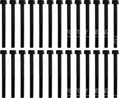 Набір болтів ГБЦ (26шт) DAF FA 220, FA 230, FA 250, FA 260, FA 280, FA 290, FA 310, FA 320, FAN 280, FAN 290, FAN 310, FAN 320, FAR 280, FAR 290, FAR 310, FAR 320, FAS 290, FAS 320, FT 220 REINZ VICTOR REINZ 141122701