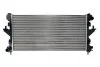 Радіатор двигуна (мкпп, розмір: 51мм) CITROEN JUMPER II FIAT DUCATO PEUGEOT 2008 I, BOXER 1.6-3.0D 04.06- THERMOTEC D7P062TT (фото 2)
