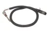 Датчик температури вихлопних газів (перед DPF, 2PIN) RVI KERAX, MAGNUM, PREMIUM 2 VOLVO 7900, 8900, 9500, B11, FH, FH II, FH16, FH16 II, FM, FM II, FMX, FMX II 01.03- AKUSAN Akusan VOLSE046 (фото 1)