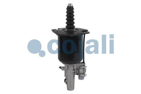 Робочий циліндр зчеплення COJALI Cojali 2250283