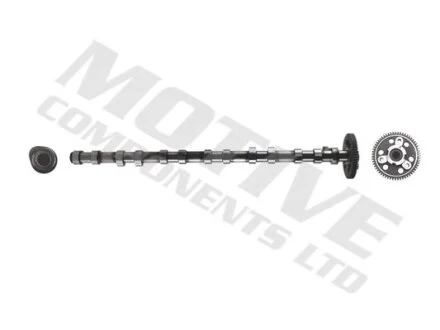 Розподільчий вал (Впускна сторона) (впускні клапани) BMW 3 (E46), 3 (E90), 3 (E91), 3 (E92), 3 (E93), 5 (E39), 5 (E60), 5 (E61), 6 (E63), 6 (E64), 7 (E38), 7 (E65, E66, E67) 2.5D/3.0D 08.98-12.13 Motive T2136