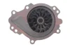 Комплект ГРМ + насос Hyundai Tucson/i30/i40/Kona/ KIA Ceed/Sportage IV/Stonic/Optima 1.6CRDI 17- INA 530 0840 30 (фото 10)
