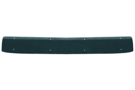 Сонцезахисний козирок MAN TGX I 06.06-09.21 MAN TGX PACOL MANUP002