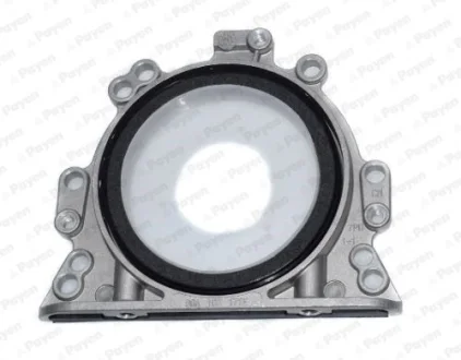 VW сальник к/вала задн (з корпусом.) AUDI, SEAT, SKODA Payen LK5003