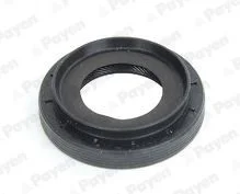 RENAULT сальник дифферинциала 55*33*13мм CAPTUR II TCe 100, DUSTER, FLUENCE 05-, NISSAN, DACIA Payen NA5494