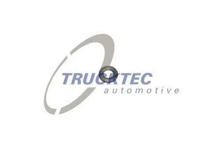 Шайба теплового захисту TRUCKTEC 02.10.070