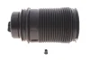 Подушка пневмопідвіски SACHS 992 839 (фото 1)