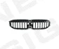 Решітка радіатору BMW 3 (G20/G21) Signeda PBM99373A (фото 1)