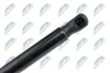 АМОРТИЗАТОР ЗАД КРИШКИ ПРАВ NTY AECH004 (фото 3)