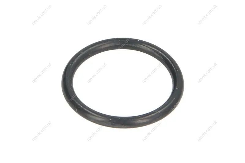 Ущільнююче кільце коробки передач 17xx2мм 2 HL 100 T 7113 L T 7200 ZF 0634306198 (фото 1)