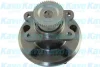 PARTS HYUNDAI Маточина колеса задн. XG 2.5-3.5 98-05 KAVO WBH-3051 (фото 1)