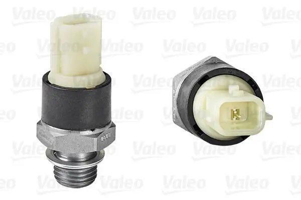VALEO CITROEN датчик тиску повітря C1/C3/C4 Cactus/C-Elysse 1,0-1,2VTi Valeo 255610 (фото 1)