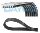 Ремінь поліклиновий DAYCO 6PK1004S (фото 1)