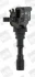 BorgWarner KIA Котушка запалювання SORENTO I 3.5 V6 4WD 02-, HYUNDAI BERU ZS542 (фото 1)