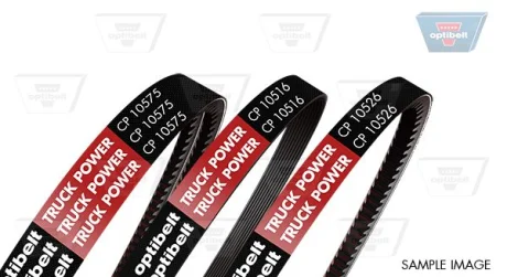 Клиновий ремінь компресора 2 шт OPTIBELT CP10543