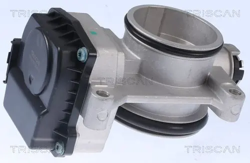RENAULT Дросельна заслонка Clio II, Kangoo, Laguna II, Megane I,II, Scenic II 1.4/1.8 TRISCAN 8820 25002 (фото 1)