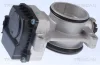 RENAULT Дросельна заслонка Clio II, Kangoo, Laguna II, Megane I,II, Scenic II 1.4/1.8 TRISCAN 8820 25002 (фото 1)