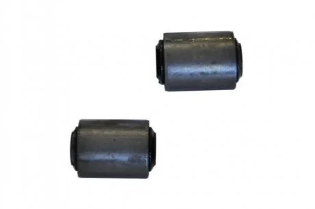 RENAULT С/блок пер. рычага (2шт.) Dacia 1310 -04 ASAM 01006