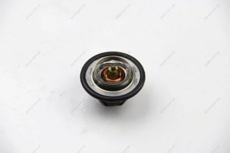 Термостат (вставка) ASAM 30403