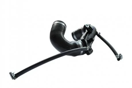 Патрубок повітрозабірника Kangoo 1.5dCi 01- ASAM 30874