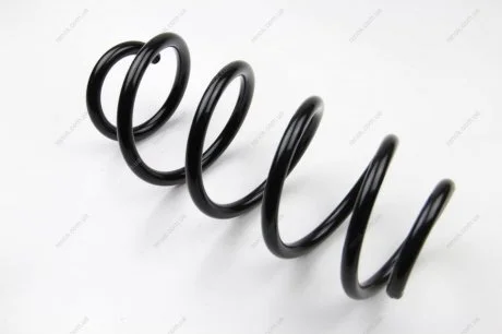 Пружина підвіски Duster 4х2 задн ASAM 32033