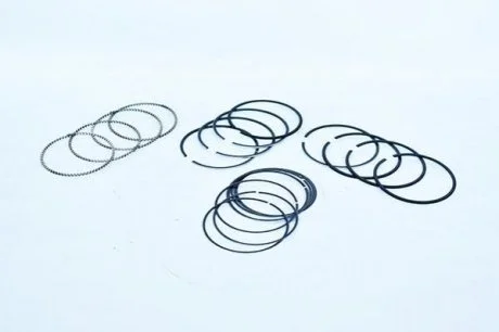 Кільця поршневі Renault 79.5 (1.2/1.5/2.5) 1.6 16V (K4M) ASAM 55838