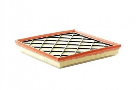 Фільтр забору повітря ASAM 70146