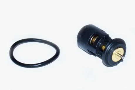 Термостат VW GOLF V ASAM 73343