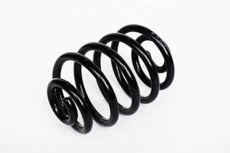 Пружина задня Renault Clio II ASAM 73798