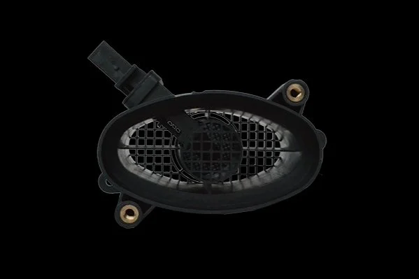 Розходомiр повiтря Bmw E46/60/61/65/66 01- ASAM 74161 (фото 1)