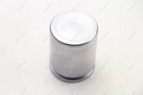 Поршень тормозного суппорта (SEIN) AUTOFREN D0 25231 (фото 1)