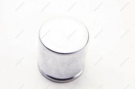 Елементи гальмівного супорта (Поршень) (SEIN) AUTOFREN D0 2565