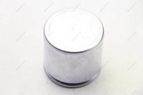 Елементи гальмівного супорта (Поршень) (SEIN) AUTOFREN D0 2569