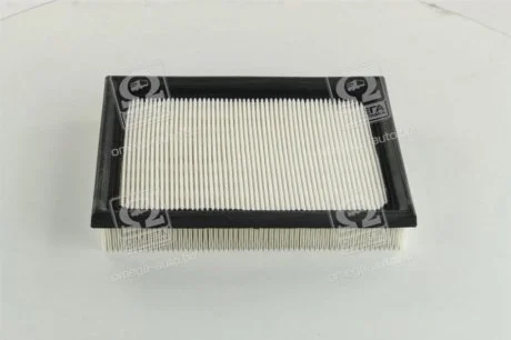 Фільтр забору повітря CHAMPION CAF100640P