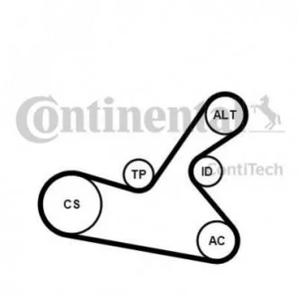 Комплект (ремінь + ролики) Contitech 6PK1125 K1