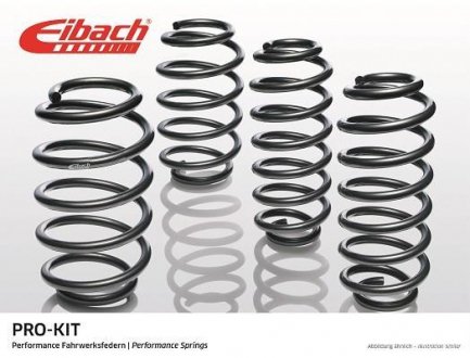 Комплект пружин (передних) (Pro-Kit) BMW X6 (E71/E72) M 07-14 (2 шт.) EIBACH E10-20-017-04-20 (фото 1)