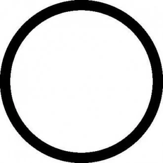 Прокладає трубу вихлопного газу. MAN EL ELRING 153.210