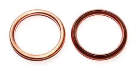 Уплотнительное кольцо, резьбовая пробка ELRING 813.028 (фото 1)