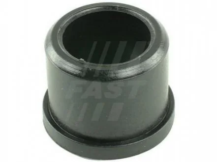 Втулка вилки зчеплення нижня ? 24mm, h 19mm Fiat Bravo, Doblo, Punto 1.4 8v-1.6 16v 94-10 FAST FT62434