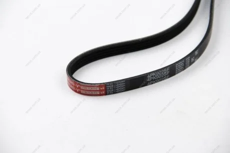 Ремінь генератора Fiat Ducato/Peugeot Boxer 2.2JTD/HDi 06- Gates 4PK922SF