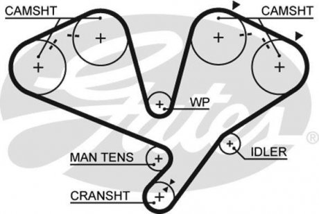 Пас ГРМ з довжиною кола понад 198см Gates 5442 XS
